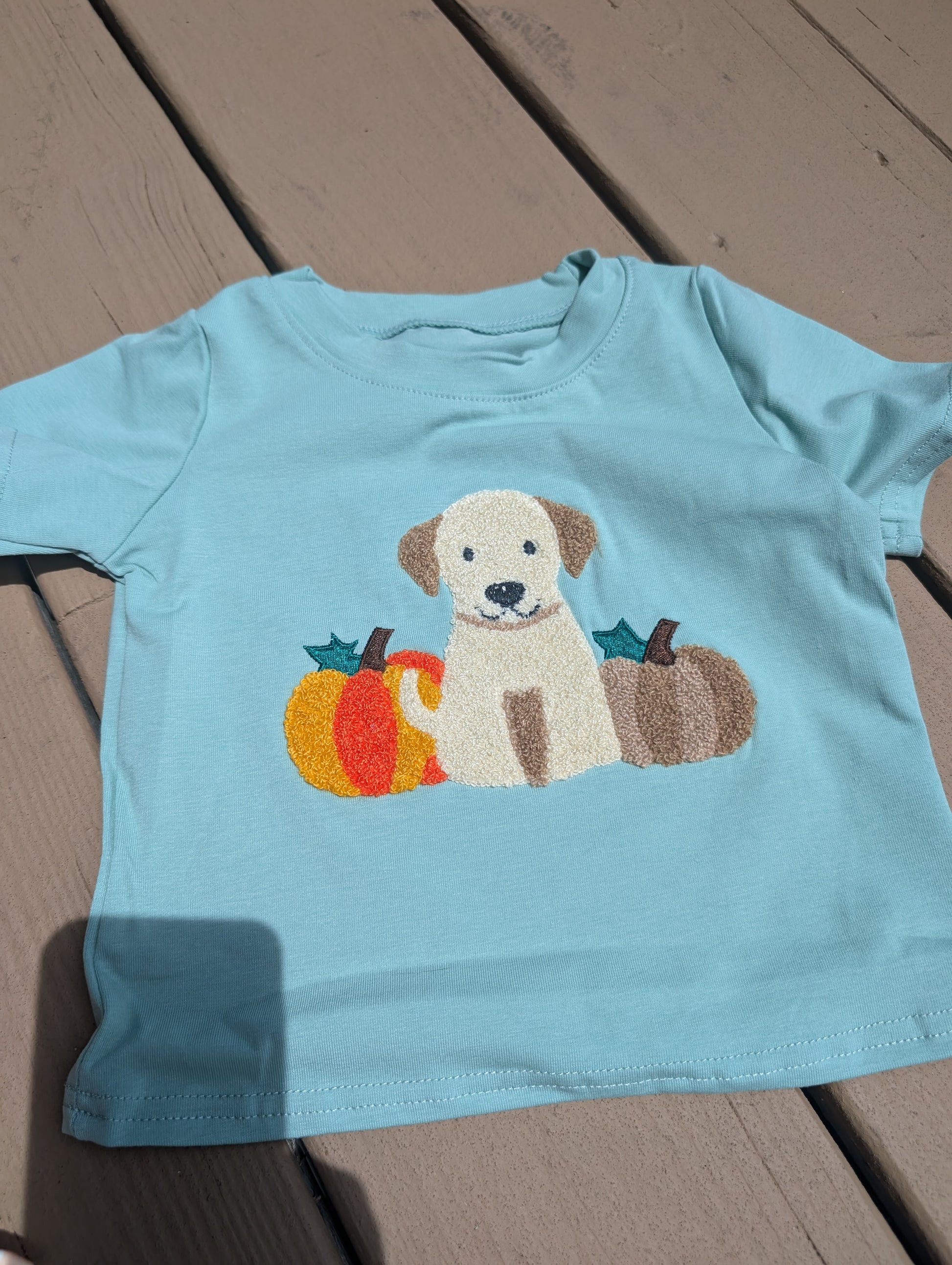 Green Dog Pumpkin French Knot Boy Top Honeydew